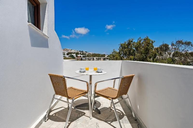 One-Bedroom Apartment (2-4 Adults)  image 4