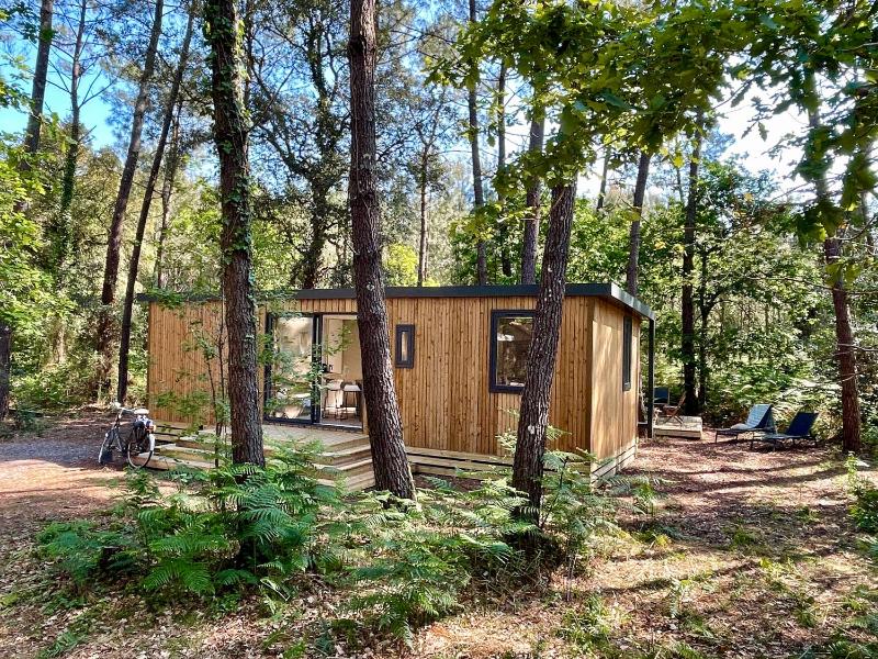 Cottage Vista with Forest View image 1