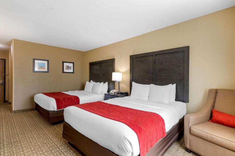 Queen Room with Two Queen Beds - Non-Smoking image 4