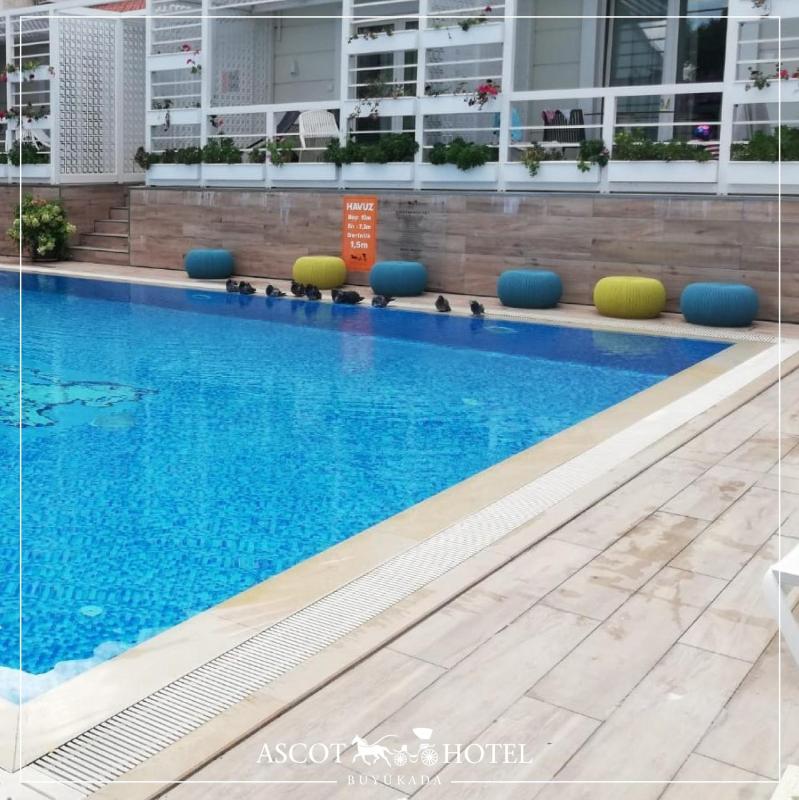 Double Room - Pool Side image 4