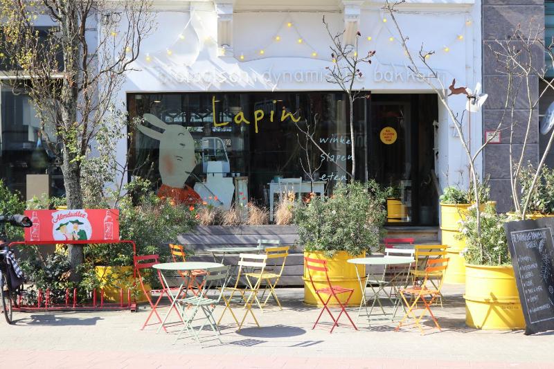 Logies Lapin - image 11