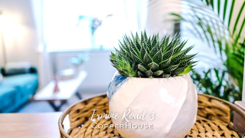 Designer apartments for City Breaks in Chester - image 10