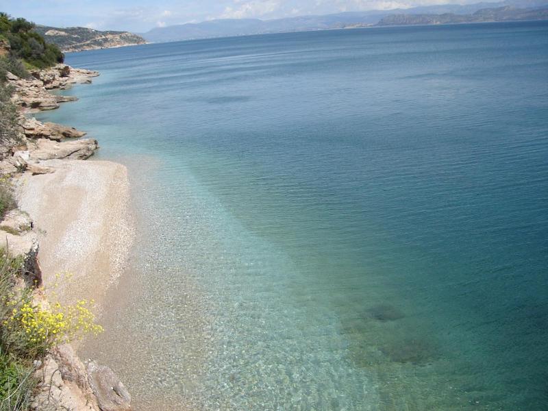 One-Bedroom Apartment with Balcony and Sea View image 4