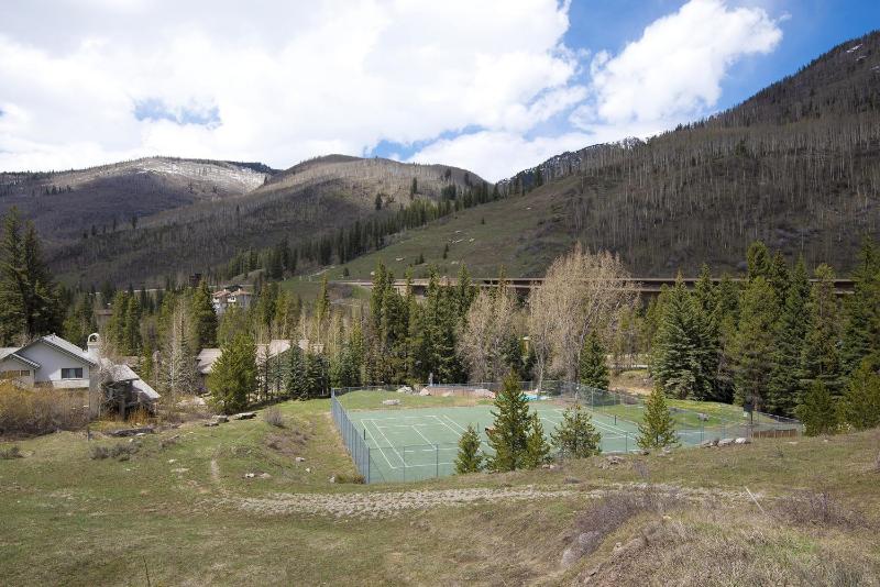 445 Timberfalls Court Condo - image 28