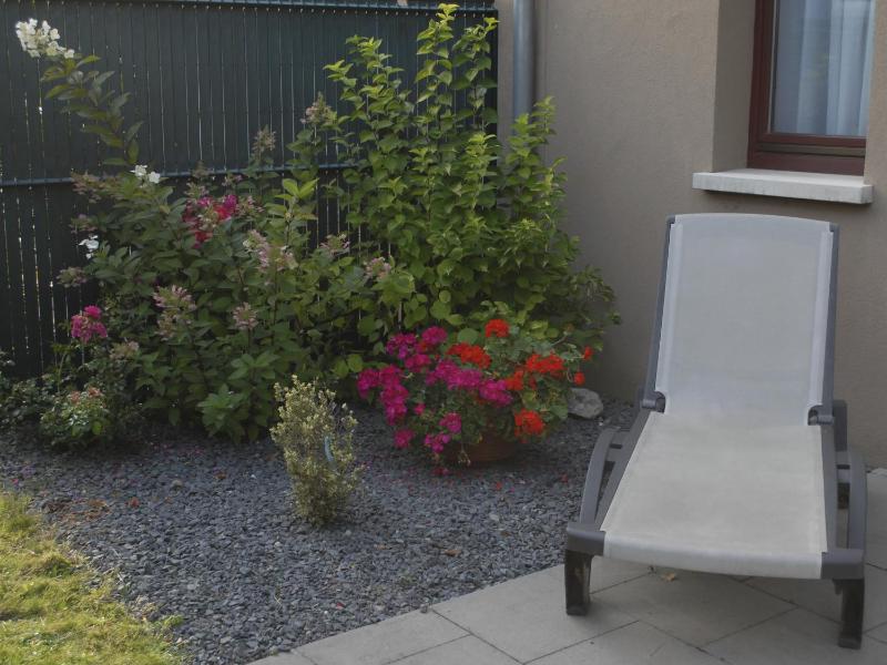 Apartment with Terrace image 4