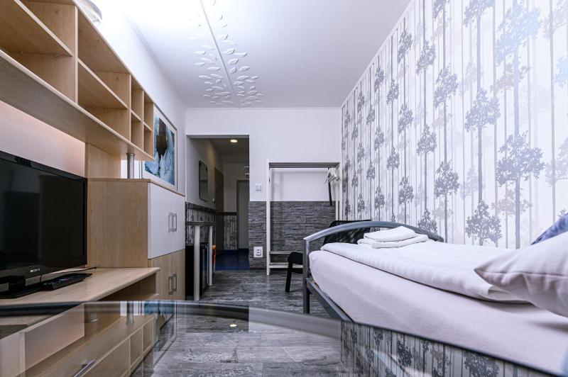 Single Room image 3