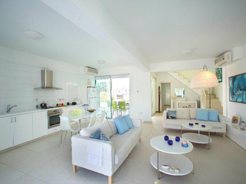 Architect's Villa - image 9