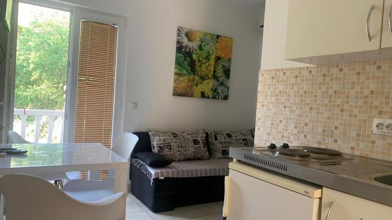 One-Bedroom Apartment with Balcony (4 Adults) image 1