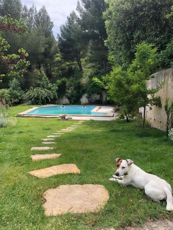 L’appartement - Jardin Secret - image 4