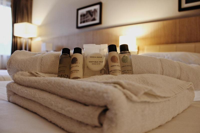 Deluxe Double Room image 4