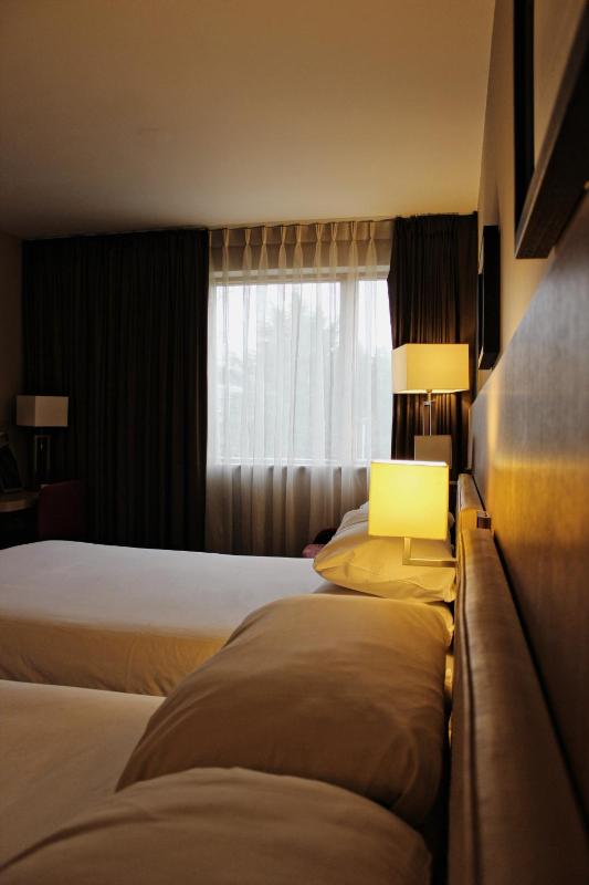 Deluxe Double Room image 3