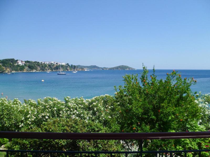 Aphrodite Skiathos - image 9