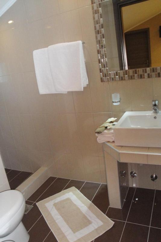 Two-Bedroom Apartment (4-5 Adults) image 3