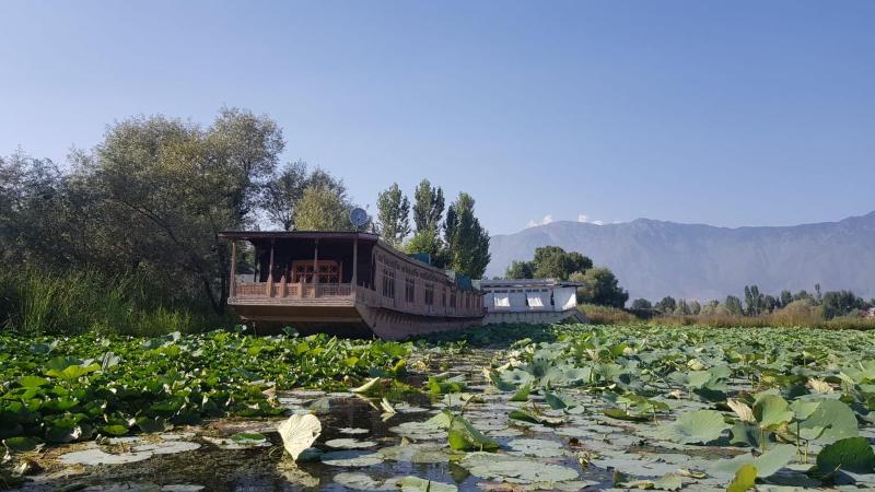 Kings Houseboats - image 2