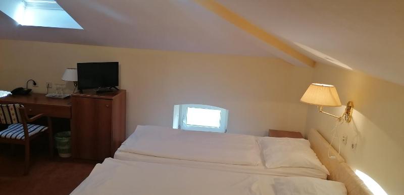 Hotel Vila Ružica- glavna zgrada i depandanse - image 50