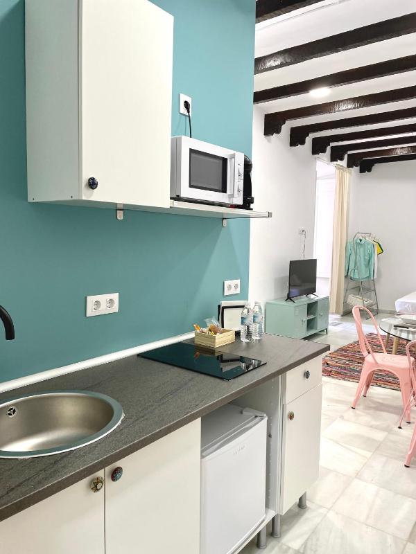Apartamentos - Alameda - image 16