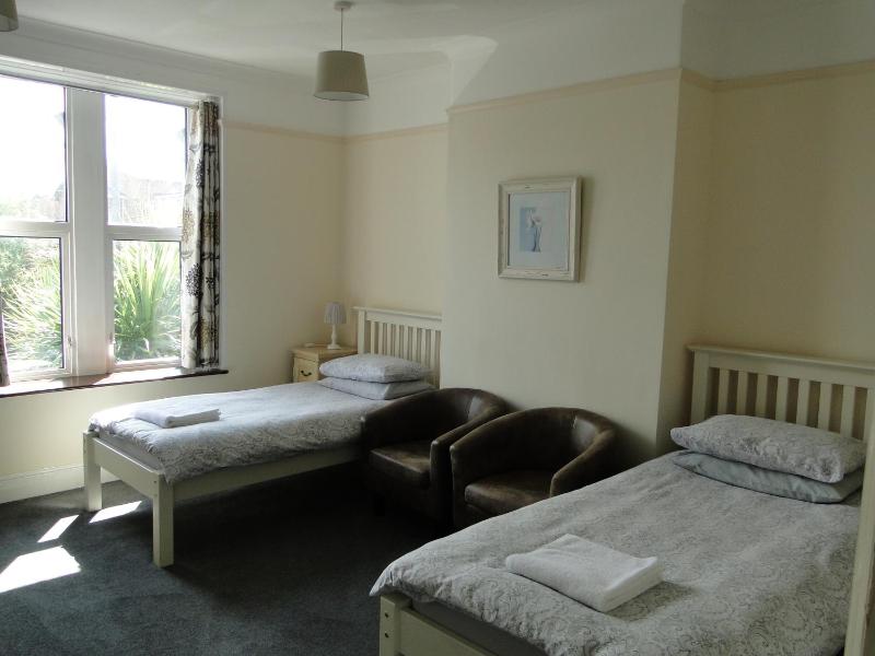 Large Twin Room image 1