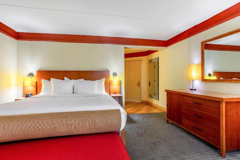 Deluxe King Room image 4