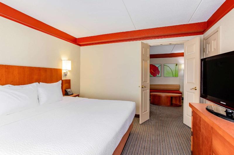King Suite - Non-Smoking image 2
