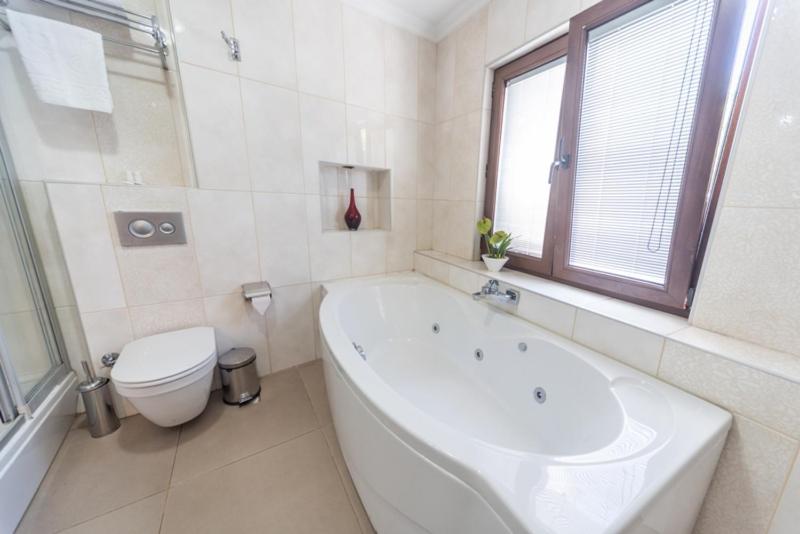 Deluxe Double Room image 3