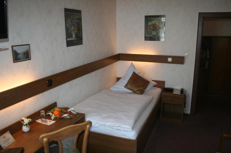 Single Room image 2