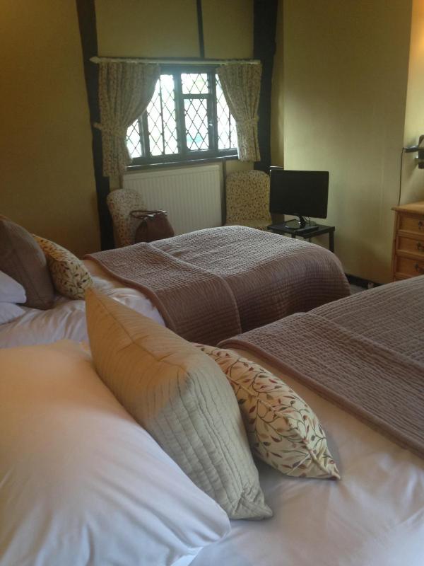 Twin Room image 2