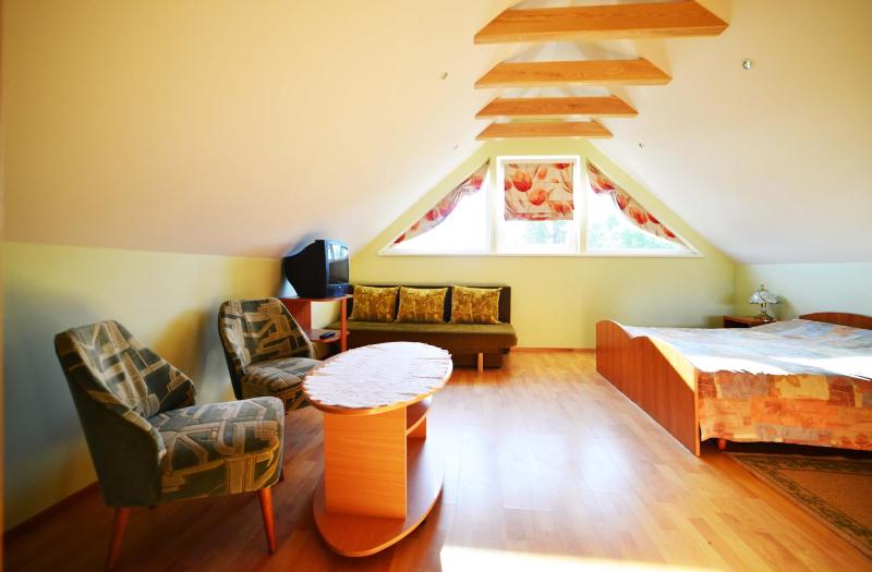 Birutes Apartments - image 43