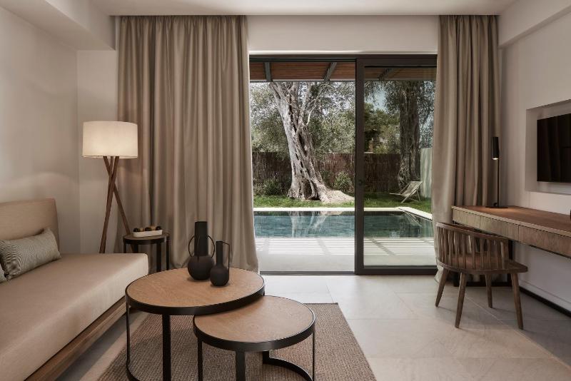 Executive Suite with Private Pool image 4