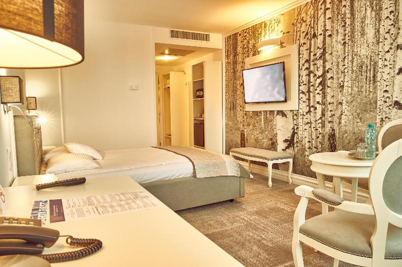 Deluxe Double Room Palace of Parliament view image 4