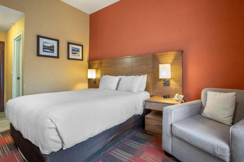 Queen Room with Roll-In Shower - Accessible/Non-Smoking image 4