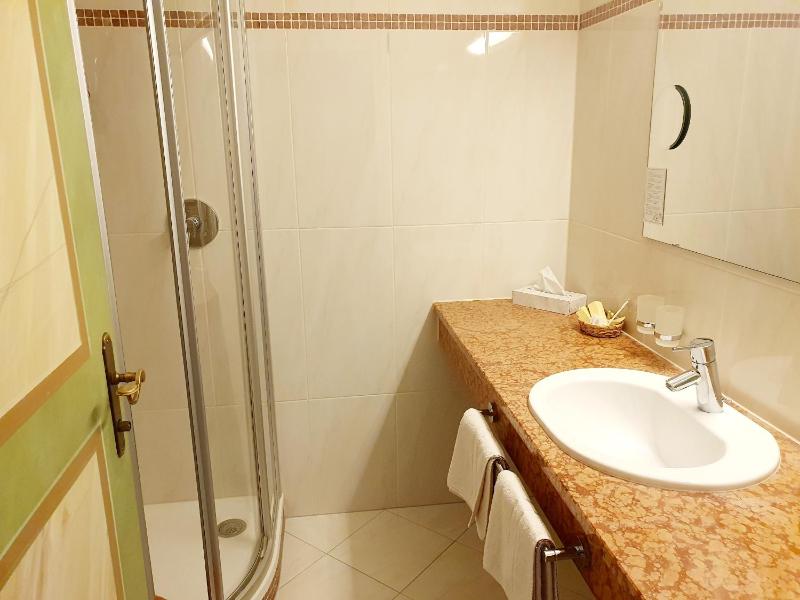 Standard Double Room image 3