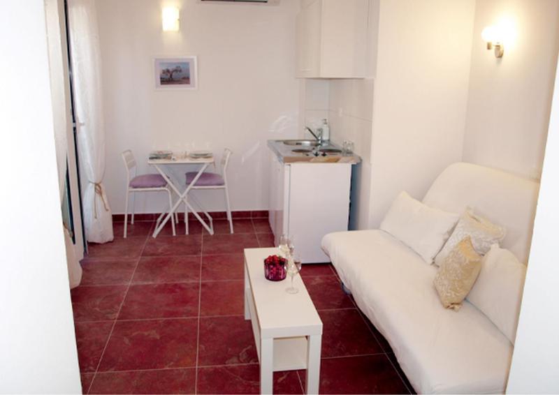 Studio with Terrace image 4