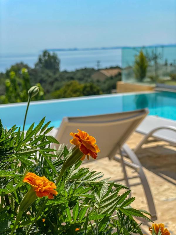 Villa with Private Pool image 2