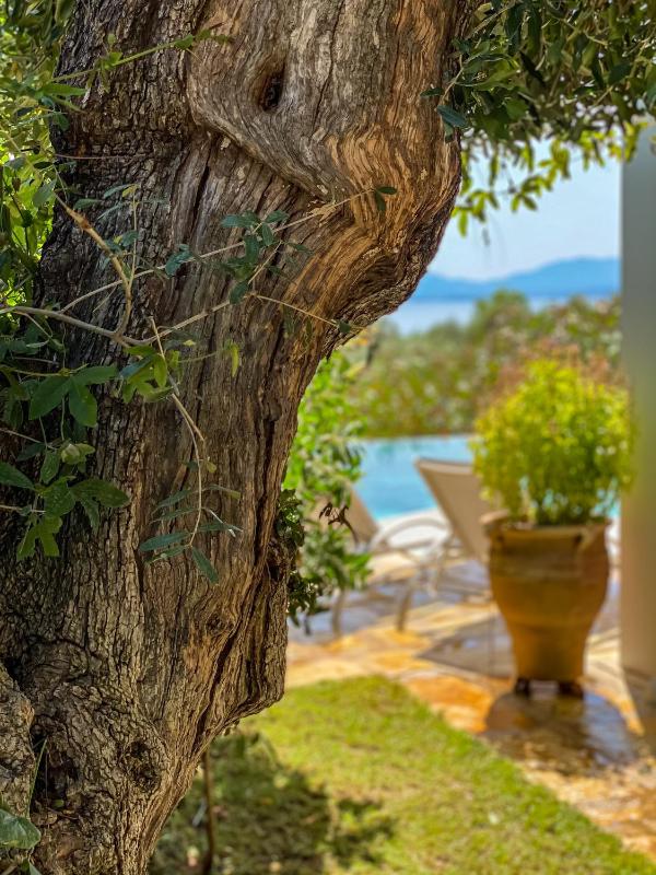 Villa with Private Pool image 3