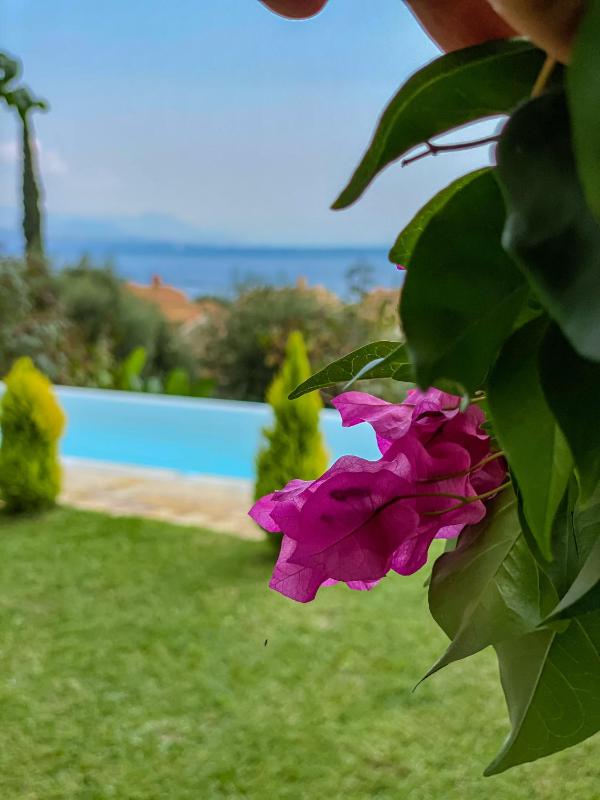Villa with Private Pool image 4