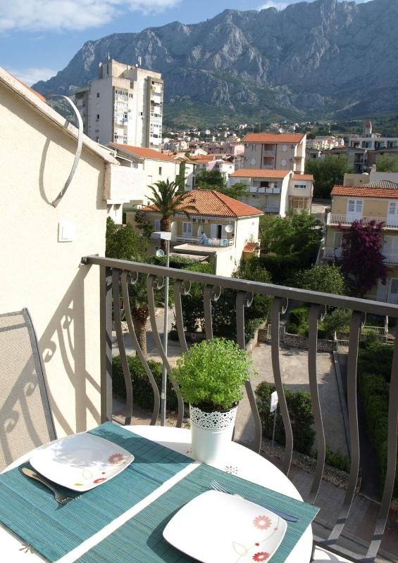 Studio with Terrace image 3