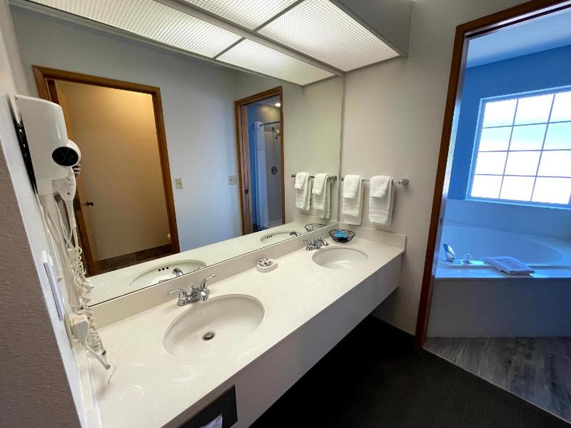 Deluxe Suite image 2