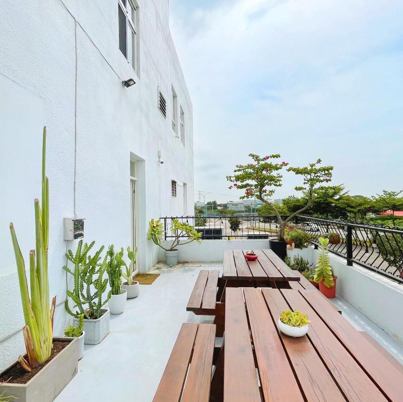 Pomelo Homestay - image 2