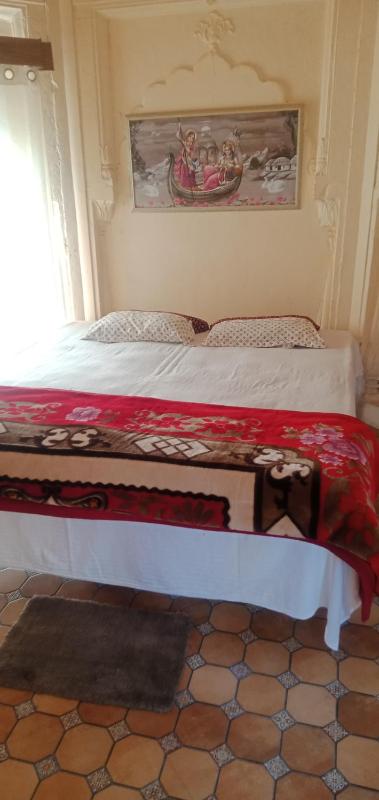Kila Todarmal Heritage Stays - image 24