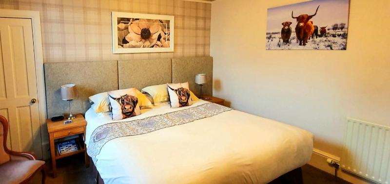 King Double or Twin Room with Shower image 3