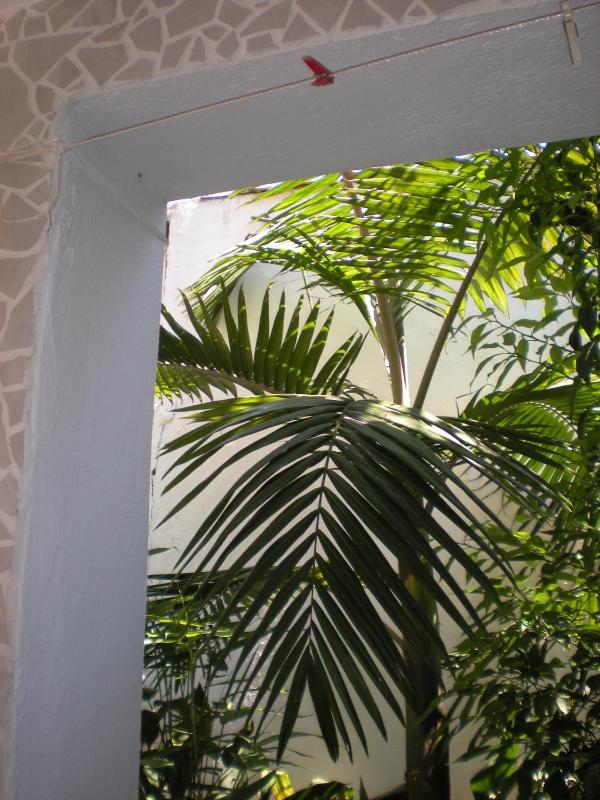 Manolis' House - image 23