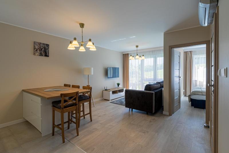 One-Bedroom Apartment image 4