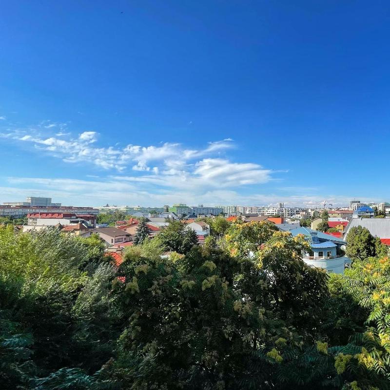 Studio Apartment image 2