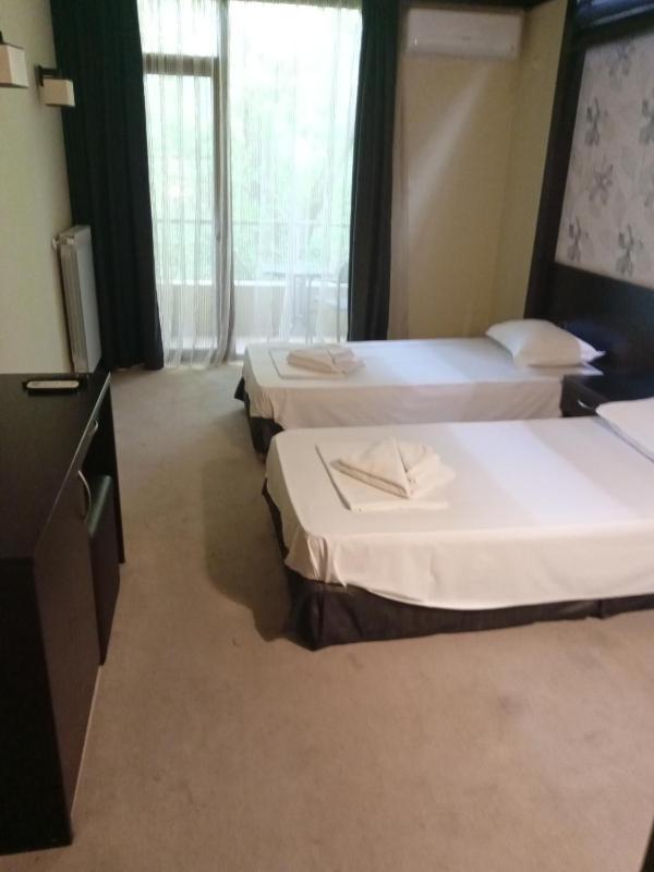Double or Twin Room with Balcony image 1