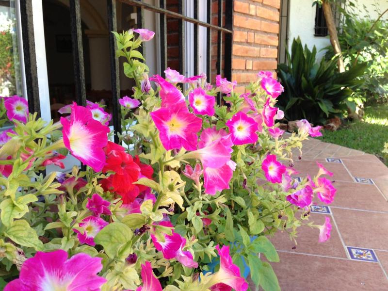 Hotel Carmen Teresa - image 10