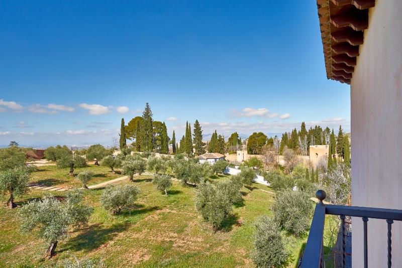 Double Room with Alhambra View image 3
