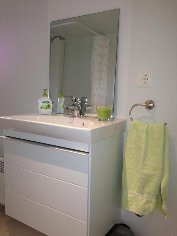 Two-Bedroom Apartment image 4
