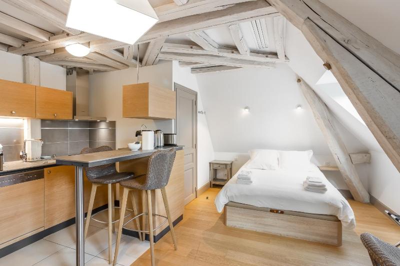 Studio Apartment Orme de Sibérie with a 140cm Double Bed image 4