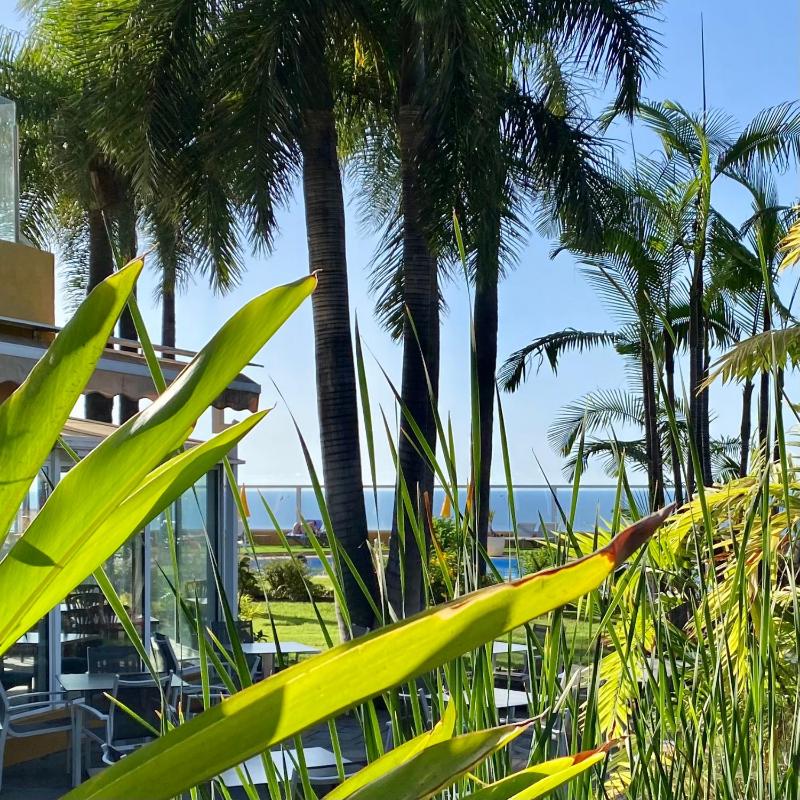 Hotel Tigaiga - image 17