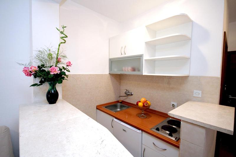 Studio with Terrace image 3